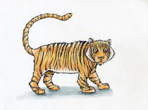 Tiger pic by @elliespinelli